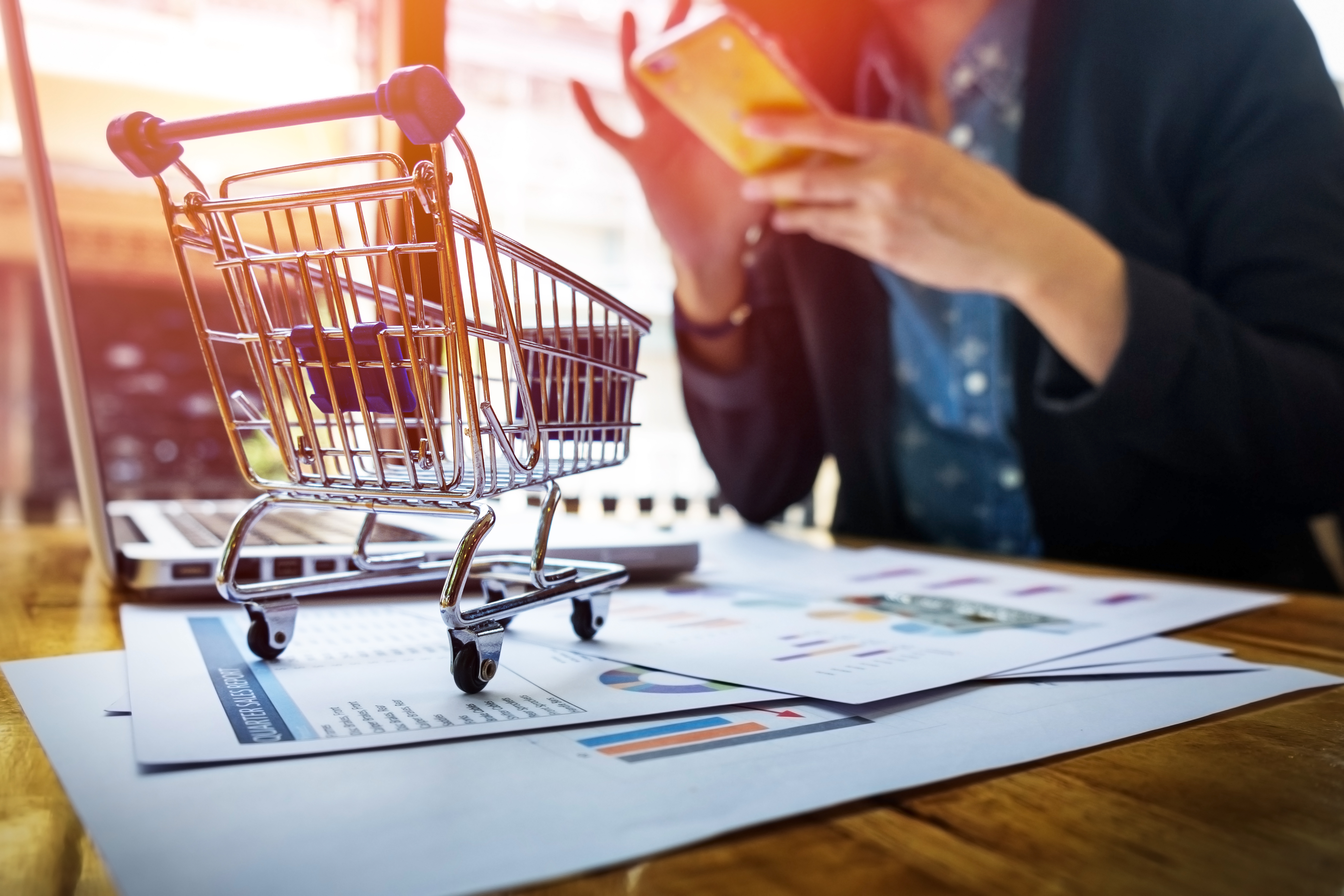Webshop development